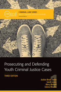 Imagen de portada: Prosecuting and Defending Youth Criminal Justice Cases 3rd edition 9781774625354