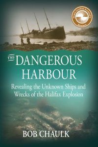 Imagen de portada: The Dangerous Harbour 9781774712405