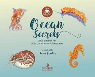 Imagen de portada: Ocean Secrets 9781774713600