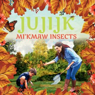 Cover image: Jujijk: Mi’kmaw Insects 9781771087575
