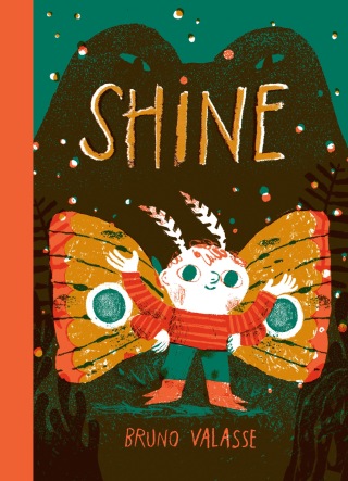 Cover image: Shine 9781774884287
