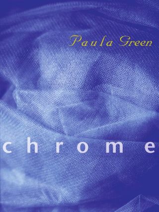 Cover image: Chrome 9781869402402