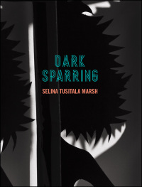 Cover image: Dark Sparring 9781869407865