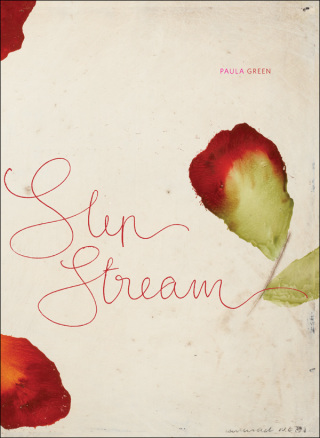 Cover image: Slip Stream 9781869404628