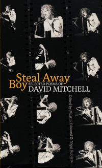 Cover image: Steal Away Boy 9781869404598