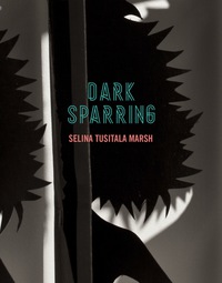 Cover image: Dark Sparring 9781869407865