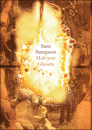 Cover image: Halcyon Ghosts 9781869408169