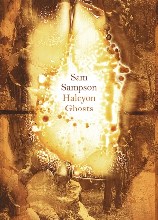 Cover image: Halcyon Ghosts 9781869408169