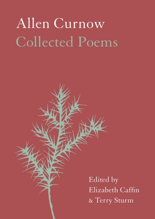 Cover image: Allen Curnow 1st edition 9781869408510