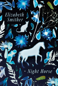 Cover image: Night Horse 1st edition 9781869408701