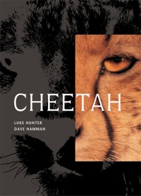 Omslagafbeelding: Cheetah 1st edition 9781868727193