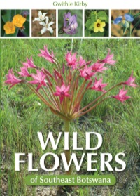 Titelbild: Wild Flowers of Southeast Botswana 1st edition 9781775840336