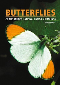 Omslagafbeelding: Butterflies of the Kruger National Park and Surrounds 1st edition 9781775841685