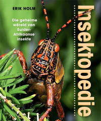 Omslagafbeelding: Insektopedie – Die geheime wêreld van Suider-Afrikaanse insekte 1st edition 9781775842248