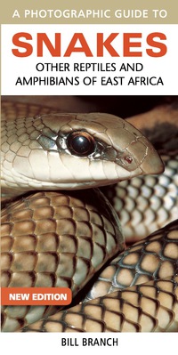 Omslagafbeelding: Photographic Guide to Snakes, Other Reptiles and Amphibians of East Africa 2nd edition 9781775841654