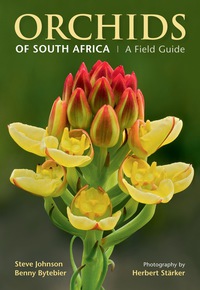Imagen de portada: Orchids of South Africa 1st edition 9781775841395