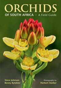 Omslagafbeelding: Orchids of South Africa 1st edition 9781775841395