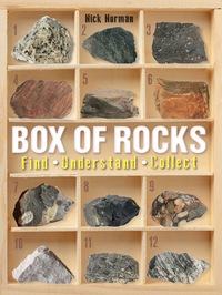 Imagen de portada: Box of Rocks 1st edition 9781775841753