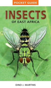 Omslagafbeelding: Pocket Guide Insects of East Africa 1st edition 9781770078949