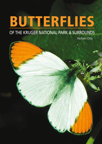 Cover image: Butterflies of the Kruger National Park and Surrounds 1st edition 9781775841685