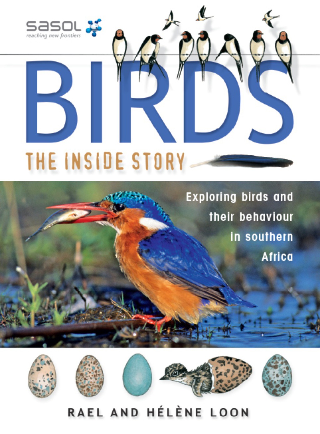 Birds – The Inside Story Exploring Birds and their Behaviour in Southern Africa 1st Edition