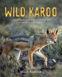 Cover image: Wild Karoo 1st edition 9781775843252