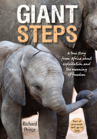 Omslagafbeelding: Giant Steps 1st edition 9781775843306