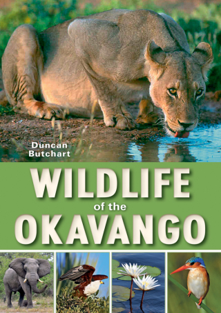 Imagen de portada: Wildlife of the Okavango 1st edition 9781775843382