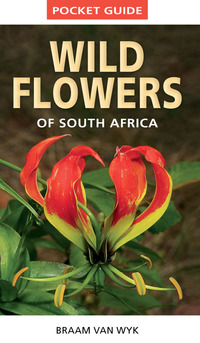 Cover image: Pocket Guide to Wildflowers of South Africa 1st edition 9781775841661