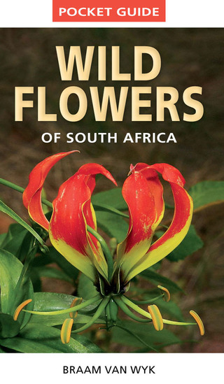 Cover image: Pocket Guide to Wildflowers of South Africa 1st edition 9781775841661