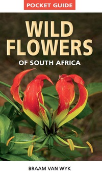 Titelbild: Pocket Guide to Wildflowers of South Africa 1st edition 9781775841661