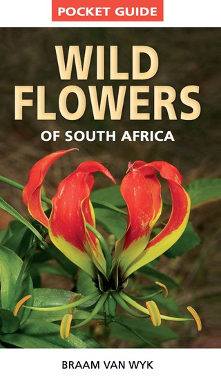 Cover image: Pocket Guide to Wildflowers of South Africa 1st edition 9781775841661