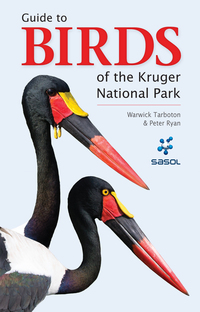 表紙画像: Sasol Guide to Birds of the Kruger National Park 1st edition 9781775844495