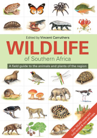 Imagen de portada: The Wildlife of Southern Africa 1st edition 9781775843535