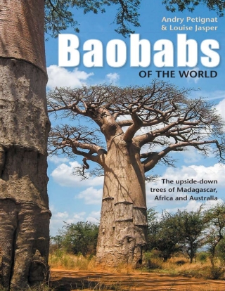 Cover image: Baobabs of the World 1st edition 9781775843702