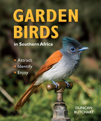 Cover image: Garden Birds in Southern Africa 1st edition 9781775844747