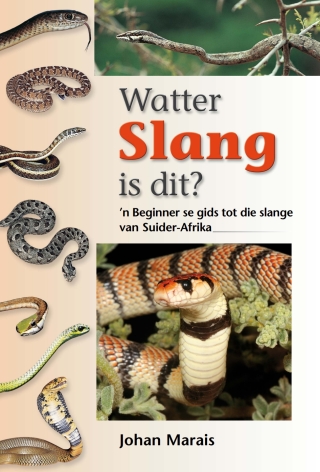 Cover image: Watter Slang is dit? 1st edition 9781770077324