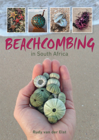 Omslagafbeelding: Beachcombing in South Africa 1st edition 9781775845713