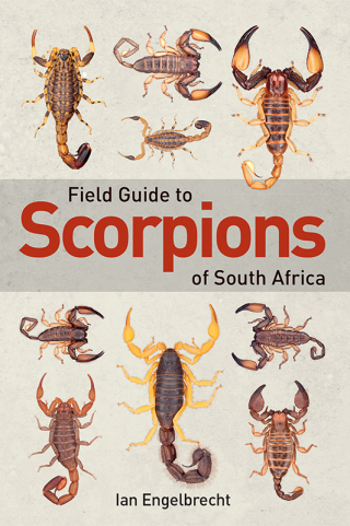 Cover image: Field Guide to Scorpions of South Africa 1st edition 9781775845744