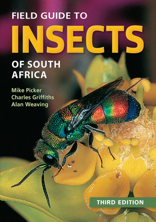 Cover image: Field Guide to Insects of South Africa 1st edition 9781775845843