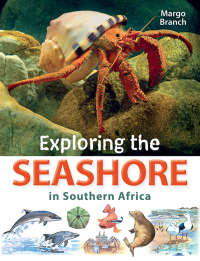 Omslagafbeelding: Exploring the Seashore in Southern Africa 1st edition 9781775846277