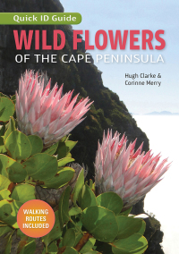 Omslagafbeelding: Wild Flowers of the Cape Peninsula – Quick ID Guide 1st edition 9781775846406