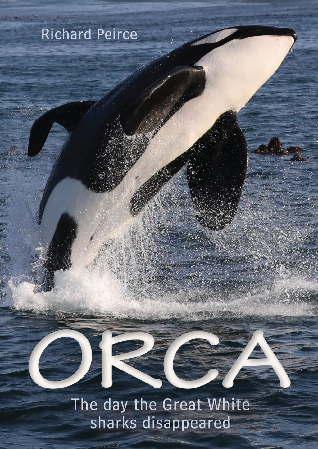 Orca 1st Edition