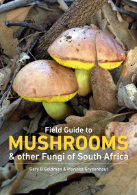 Cover image: Field Guide to Mushrooms & Other Fungi of South Africa 1st edition 9781775846543