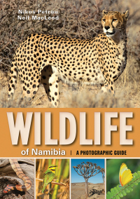 Omslagafbeelding: Wildlife of Namibia 1st edition 9781775846628