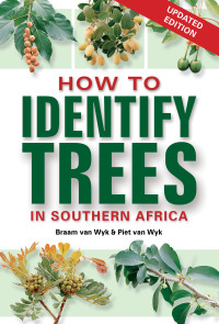 Cover image: How to Identify Trees in Southern Africa 1st edition 9781775846789