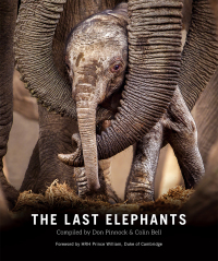 Cover image: The Last Elephants 1st edition 9781775846840