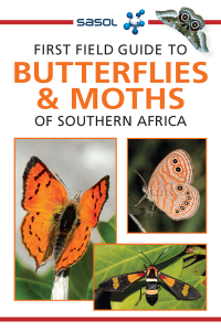 Omslagafbeelding: Sasol First Field Guide to Butterflies & Moths 2nd edition 9781775846970