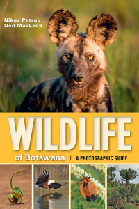 Cover image: Wildlife of Botswana – A Photographic Guide 1st edition 9781775841098