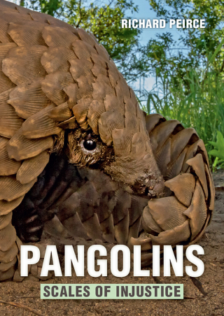 Imagen de portada: Pangolins – Scales of Injustice 1st edition 9781775847120